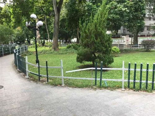 城市管理邀你來(lái)監(jiān)督 昌黎路文化公園綠化護(hù)欄遭破壞