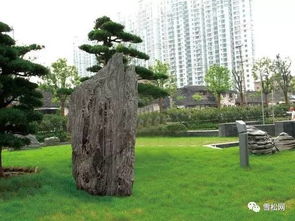 園林綠化工程施工技術(shù)規(guī)范大全 萬(wàn)字長(zhǎng)文