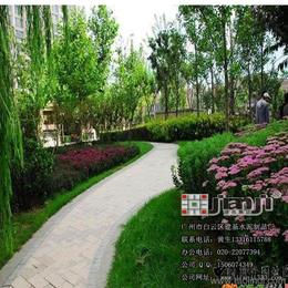 綠化工程價(jià)格 綠化工程廠(chǎng)家 綠化工程批發(fā)